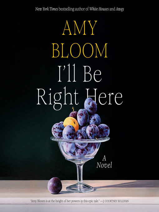 Title details for I'll Be Right Here by Amy Bloom - Available